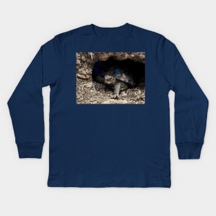 Box Tortoise Kids Long Sleeve T-Shirt